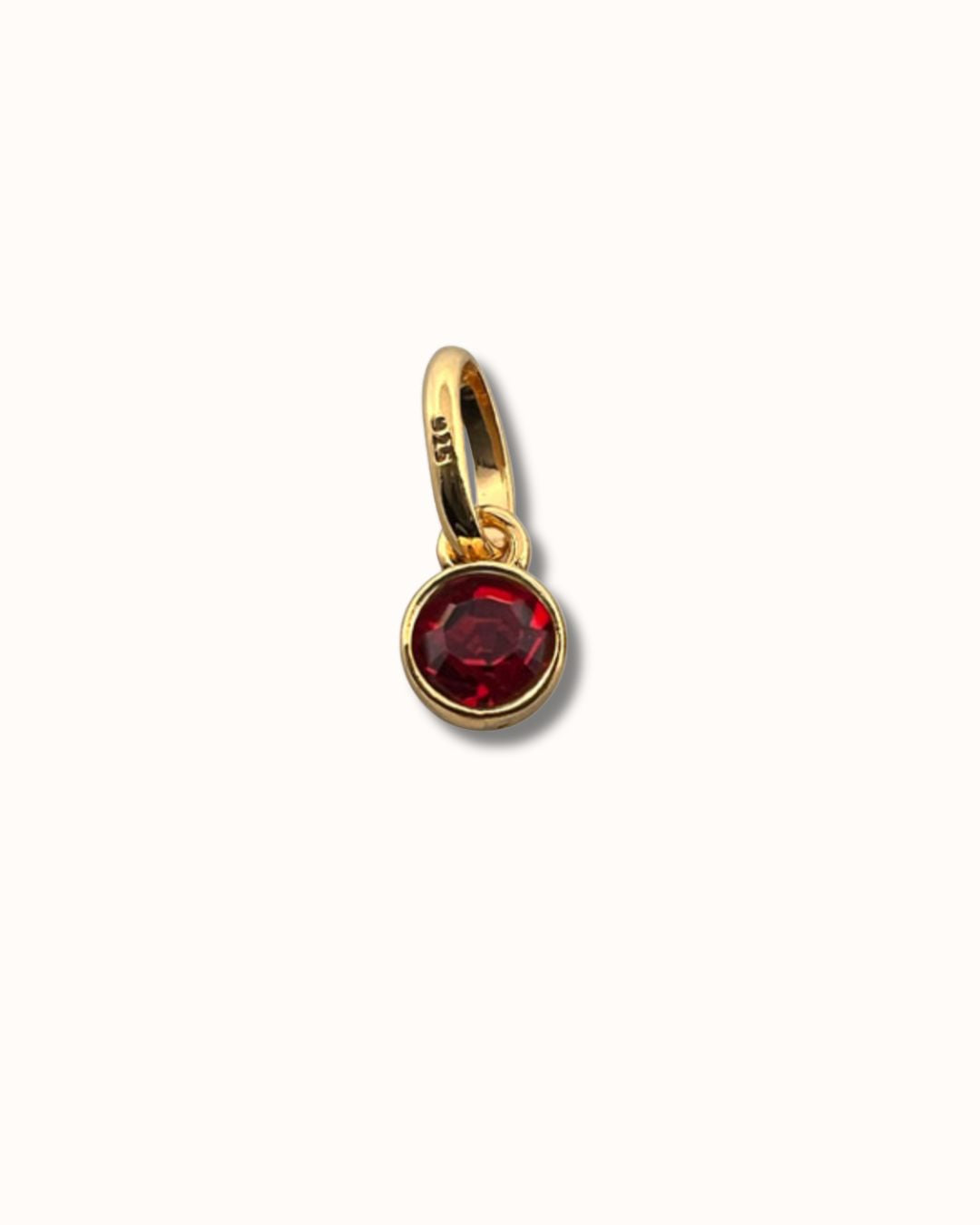 Birthstone Charm January