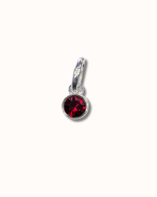 Birthstone Charm January