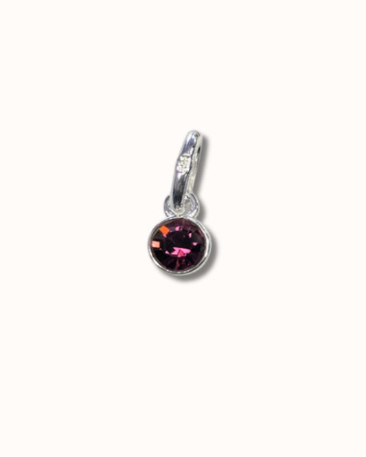 Birthstone Charm February