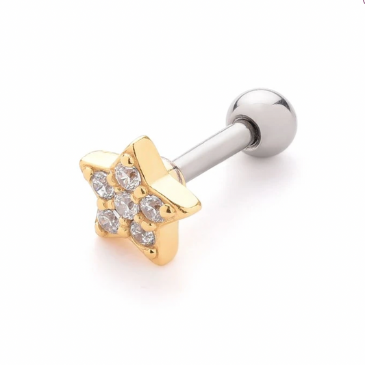 Helix / Body Piercings