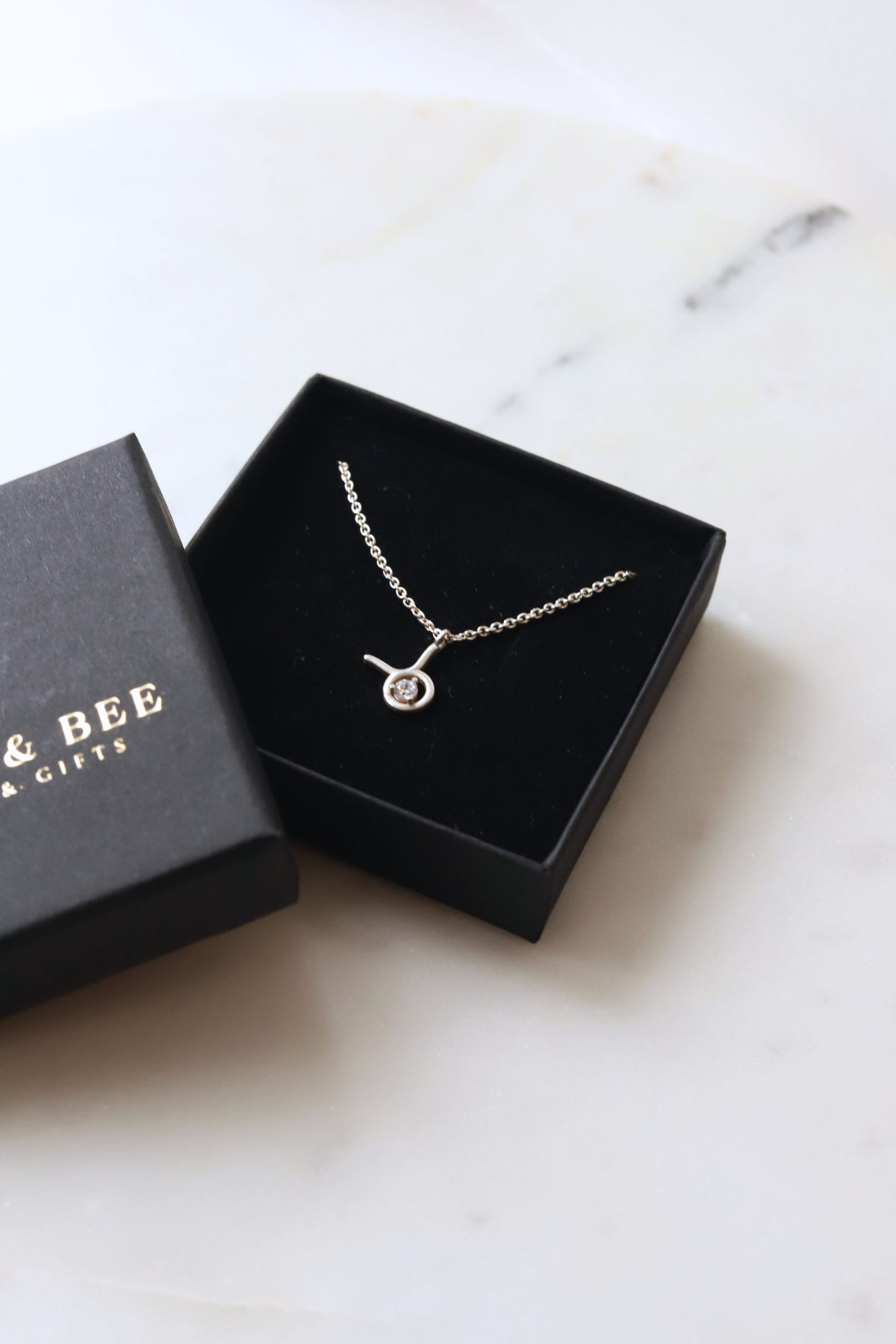 Zodiac Birthstone Necklace